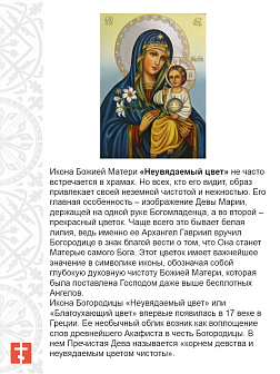Икона Пресвятой Богородицы НЕУВЯДАЕМЫЙ ЦВЕТ (МЕШКОВИНА)