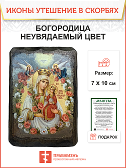Икона Пресвятой Богородицы Неувядаемый Цвет