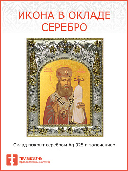 Икона ЛУКА (Войно-Ясенецкий) Крымский, Святитель (СЕРЕБРЯНАЯ РИЗА)