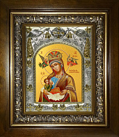Икона Пресвятой Богородицы МЛЕКОПИТАТЕЛЬНИЦА (СЕРЕБРЯНАЯ РИЗА, КИОТ)