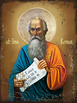 Икона Пророк Елисей