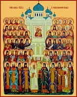 Собор всех святых, в земле Воронежской просиявших, икона