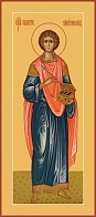 Икона ПАНТЕЛЕИМОН Целитель, Великомученик