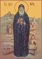 Гавриил (Ургебадзе) Архимандрит, Преподобный, икона