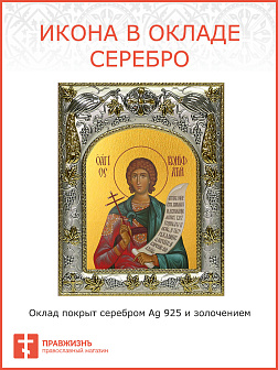 Икона ВОНИФАТИЙ Тарсийский, Мученик