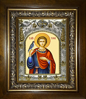 Икона ТРИФОН Апамейский, Никейский, Мученик (в КИОТЕ)